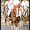 Despedida a León Febres Cordero