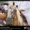 Despedida a León Febres Cordero