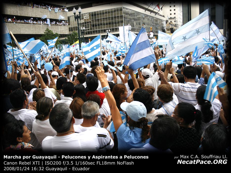 Pelucones y Aspirantes a Pelucones