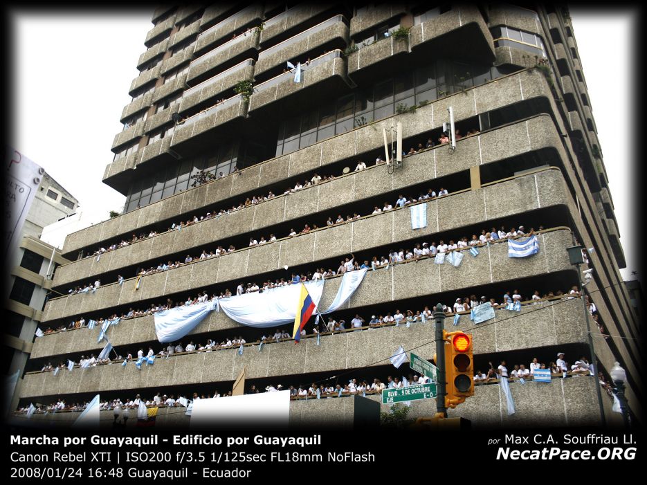 necatpace_org-20080124-marchas-marcha_blanca_por_guayaquil-005